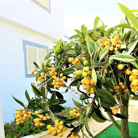 Ventura Marina Αλμπουφέιρα